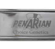 Llavero Penerlan